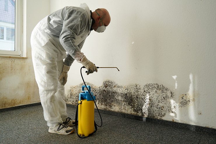 Mold Remediation in Vaughan 