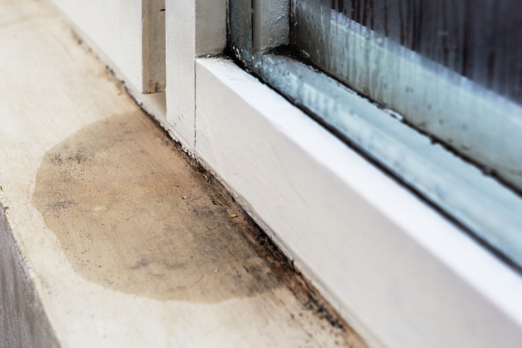 Mold Removal Attic North York