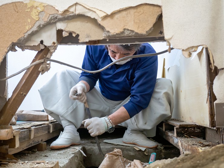 Mold Removal Attic Richmond Hill