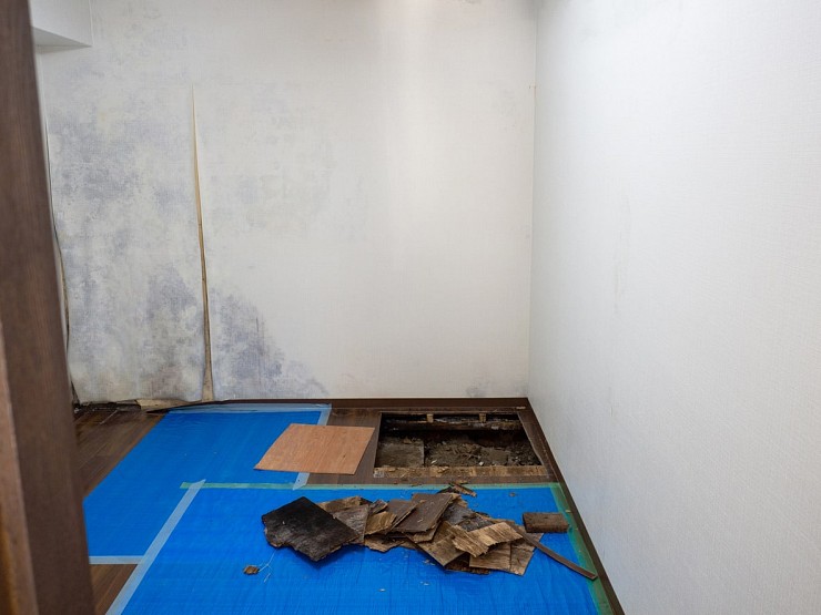 Mold Remediation in Markham