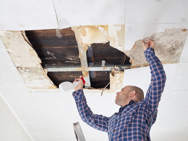 Mold Removal Attic Burlington