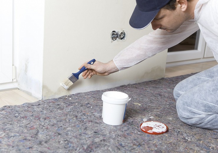 Mold Remediation in Oakville  