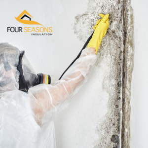 mold remediation Brampton