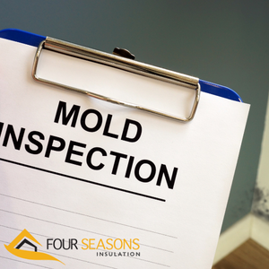 mold inspection toronto