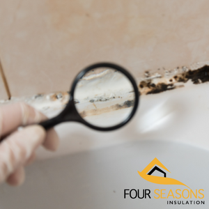 mold inspection and removal gta and toronto