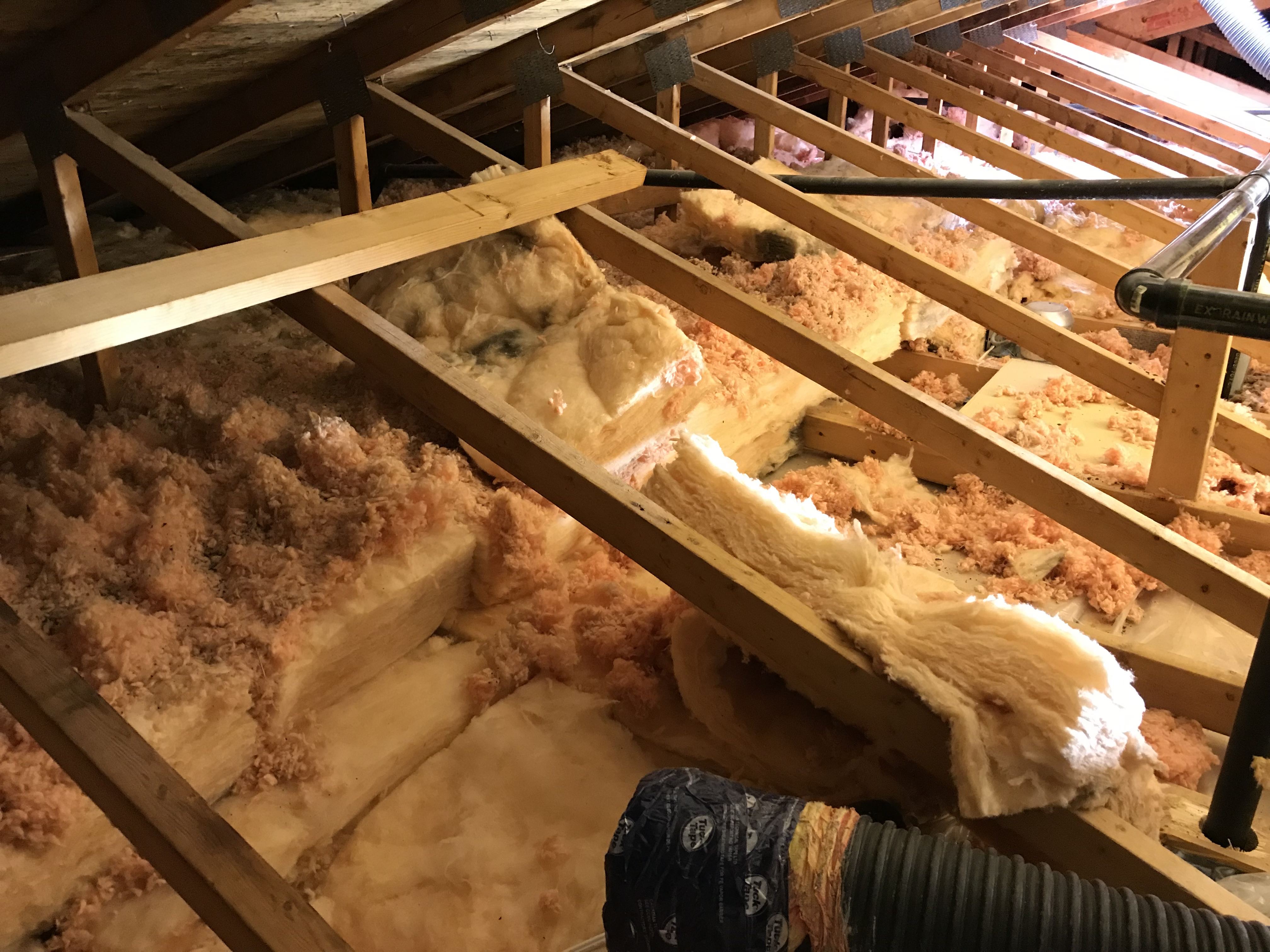 attic insulation