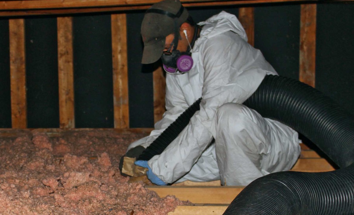 attic insulation expert oakville 