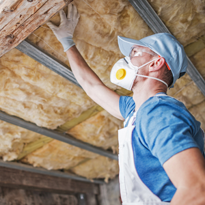 insulation removal oakville